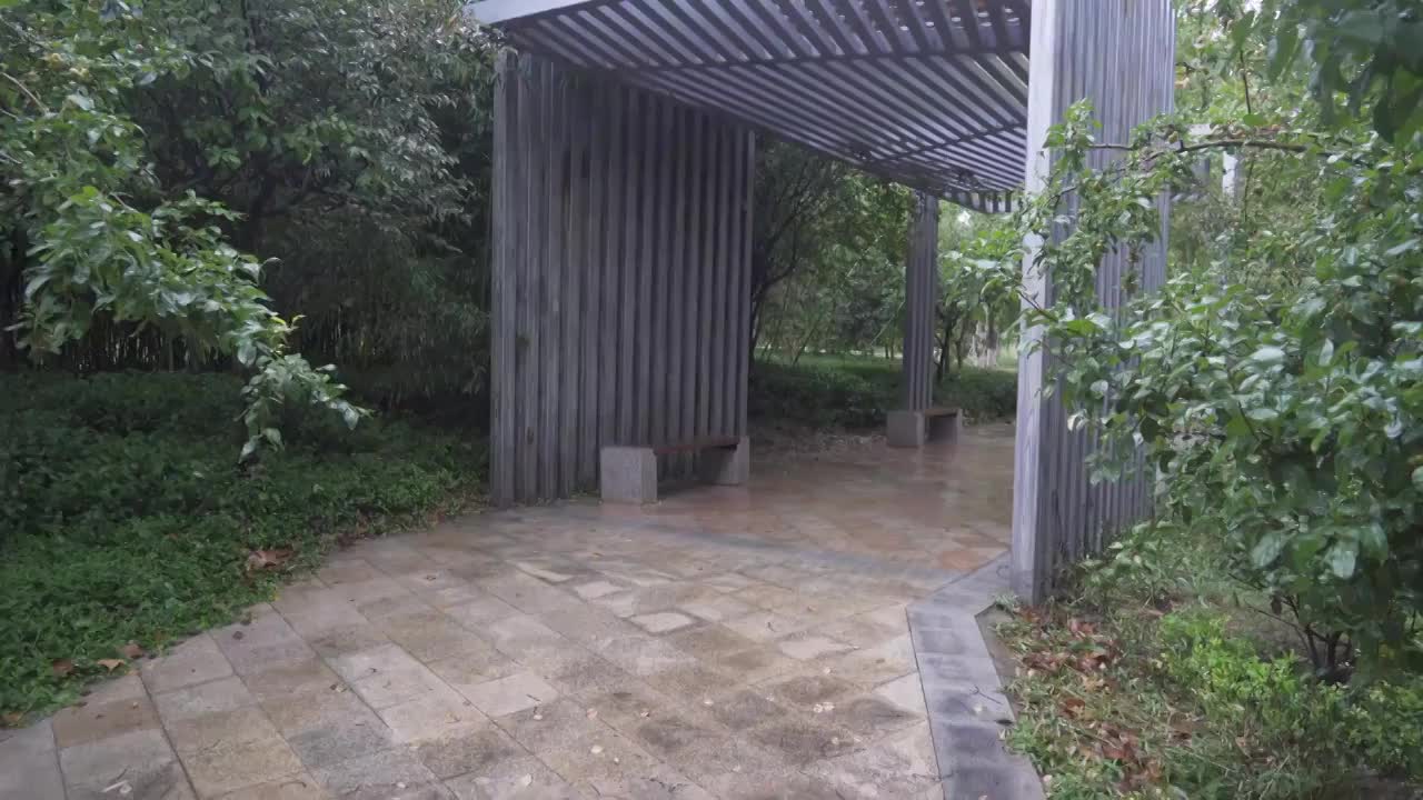 雨中凉亭视频素材
