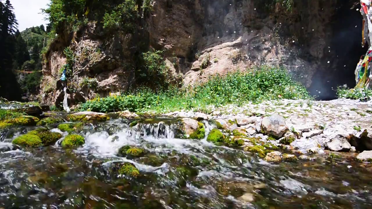 绿色小溪水流视频下载