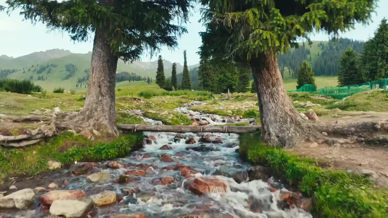 草原溪流自然风光视频下载