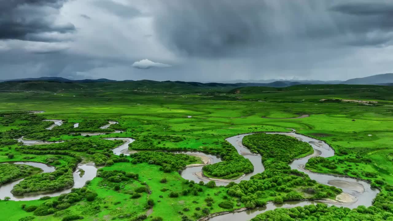 若尔盖的小河在湿地上游走视频素材