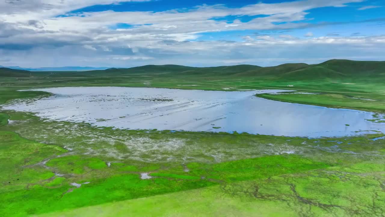 若尔盖草原上的大片水域视频素材