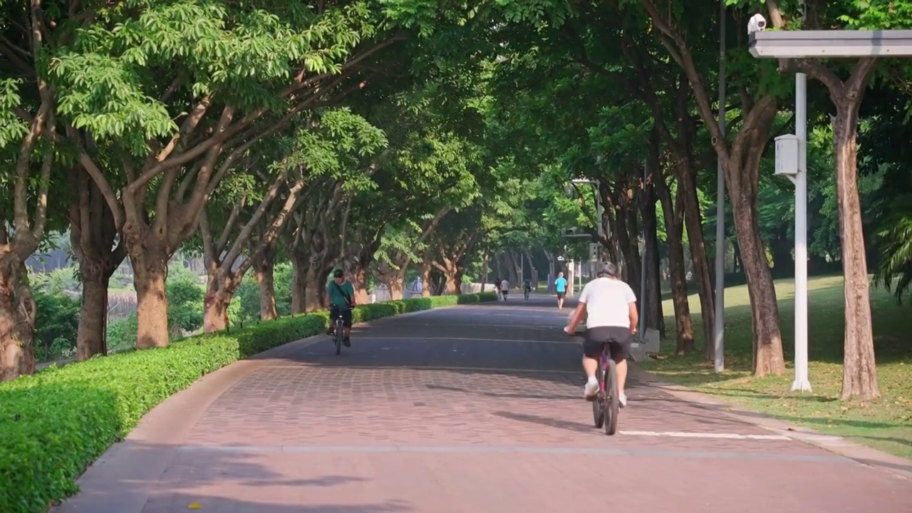 深圳湾公园步道骑行的人视频素材