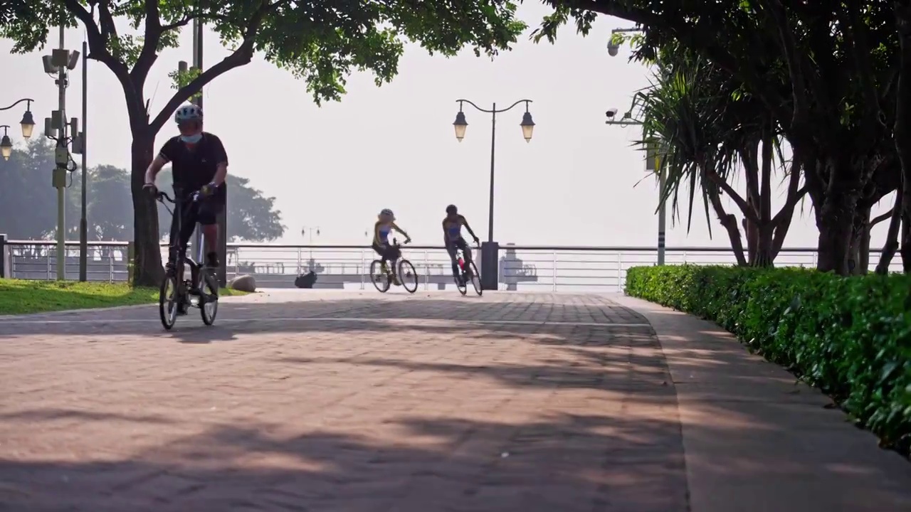 深圳湾公园步道骑行的人视频素材