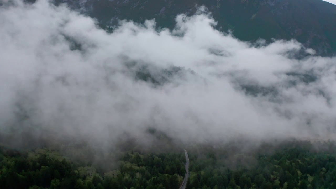 森林中的雾，宛若仙境的风景，木格措，康定情歌风景区视频素材