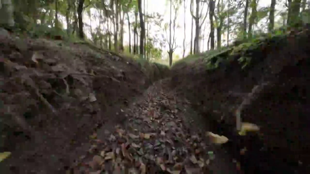 穿梭在树林的排水渠中视频下载