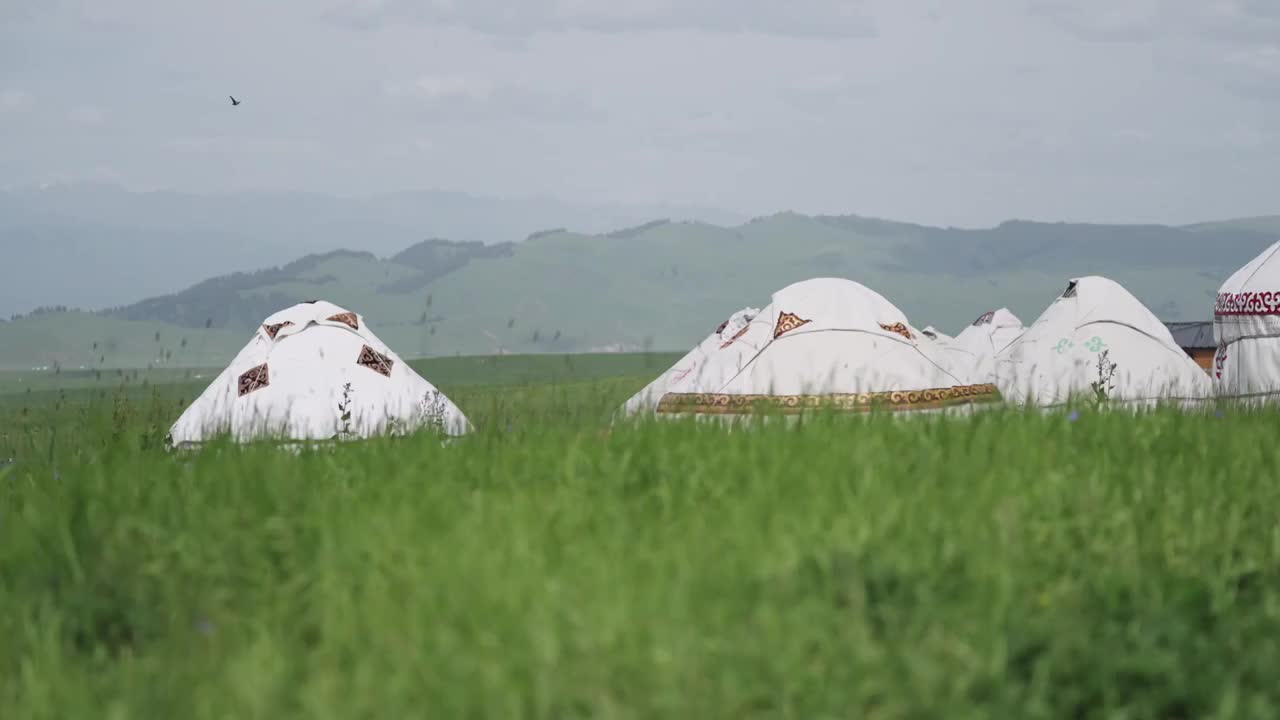 草原蒙古包视频下载