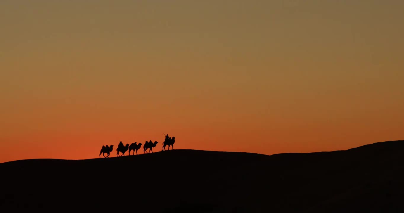 日落时，沙漠骆驼的剪影，奈曼旗沙漠的骆驼，日落时的驼队视频下载