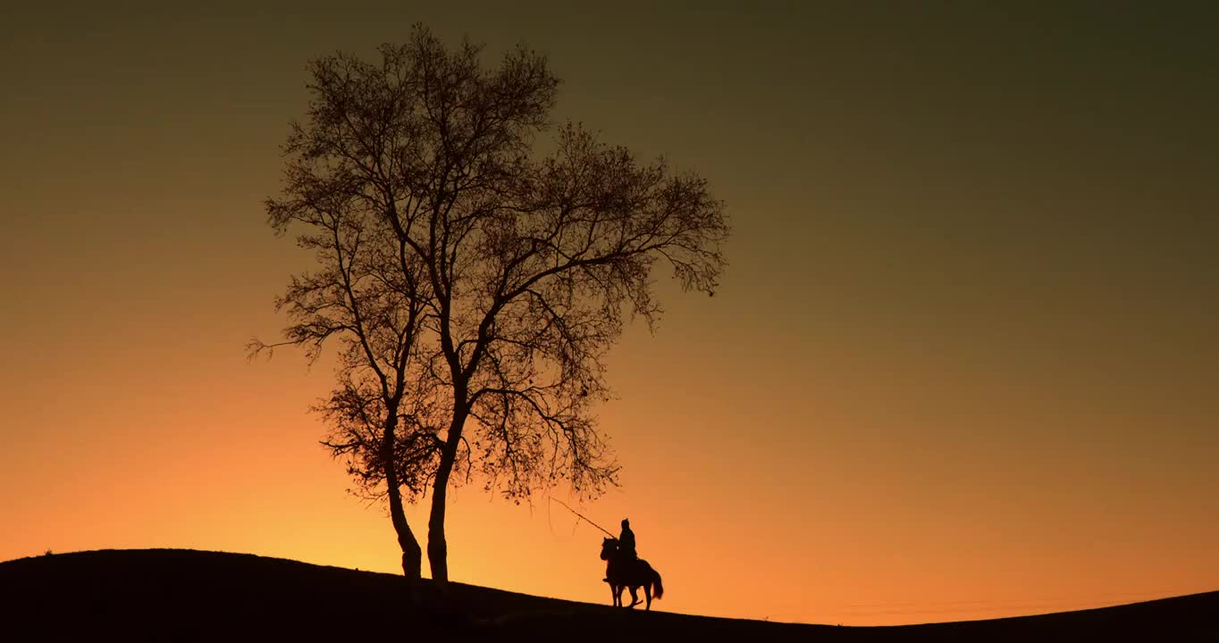 夕阳立马，夕阳下骑马的人，一人一个马的剪影，一棵孤独的树视频素材