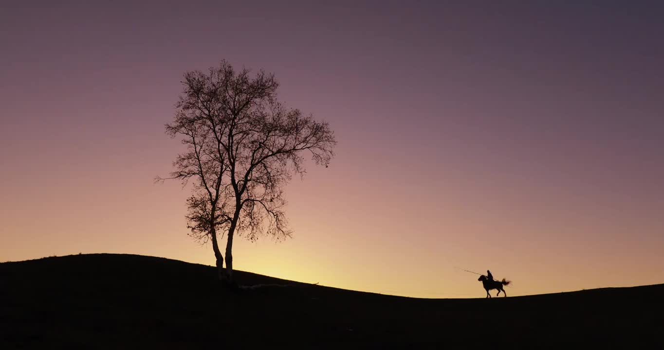 夕阳立马，夕阳下骑马的人，一人一个马的剪影，一棵孤独的树视频素材