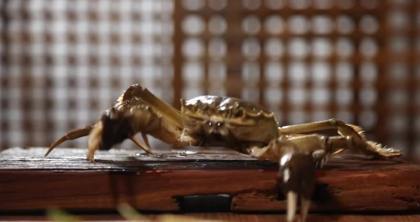 鲜活大闸蟹眨眼睛爬行,生蟹黄蟹腿特写（合集）视频素材