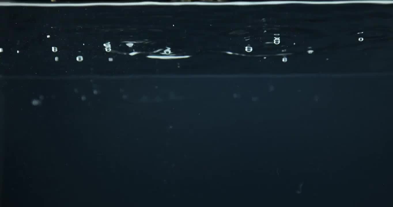 大闸蟹落水与水下爬行集锦（合集）视频素材