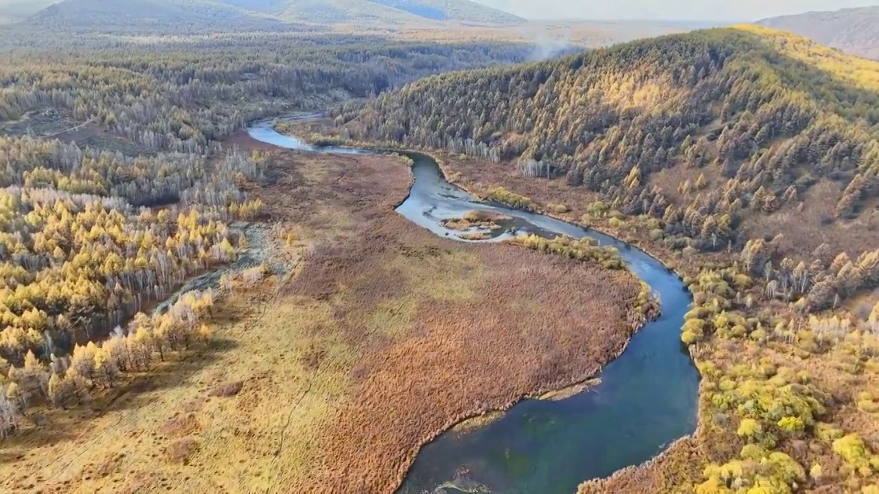 秋天的森林与河流（阿尔山）视频素材