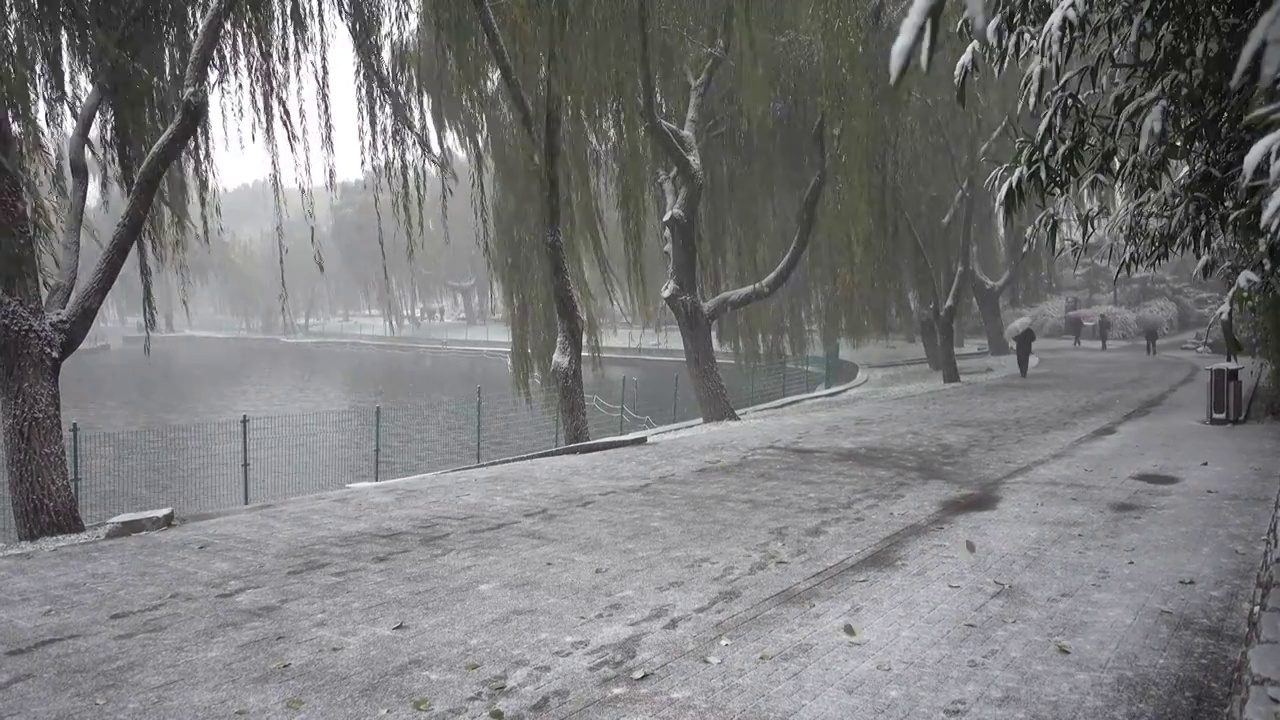 大雪纷飞在京城陶然亭公园视频下载