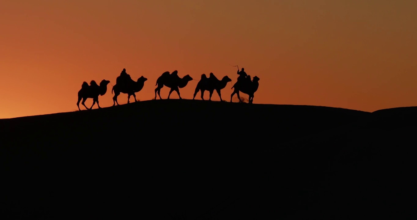 夕阳下的驼队，沙漠骆驼的剪影，日落时分的沙漠与骆驼，奈曼旗沙漠，宝古图沙漠视频下载