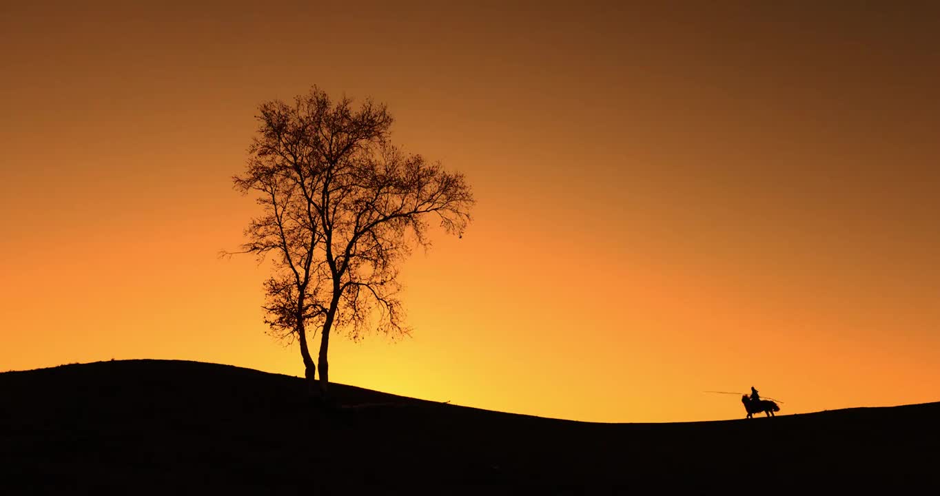 夕阳下的牧马人，一个人，一匹马，一棵树，日落下极简的画面，乌兰布统草原的风光视频素材