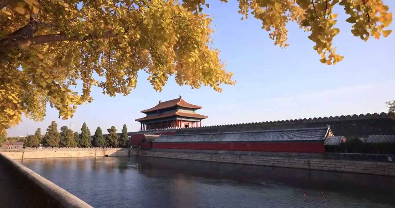 秋天里的故宫建筑视频素材