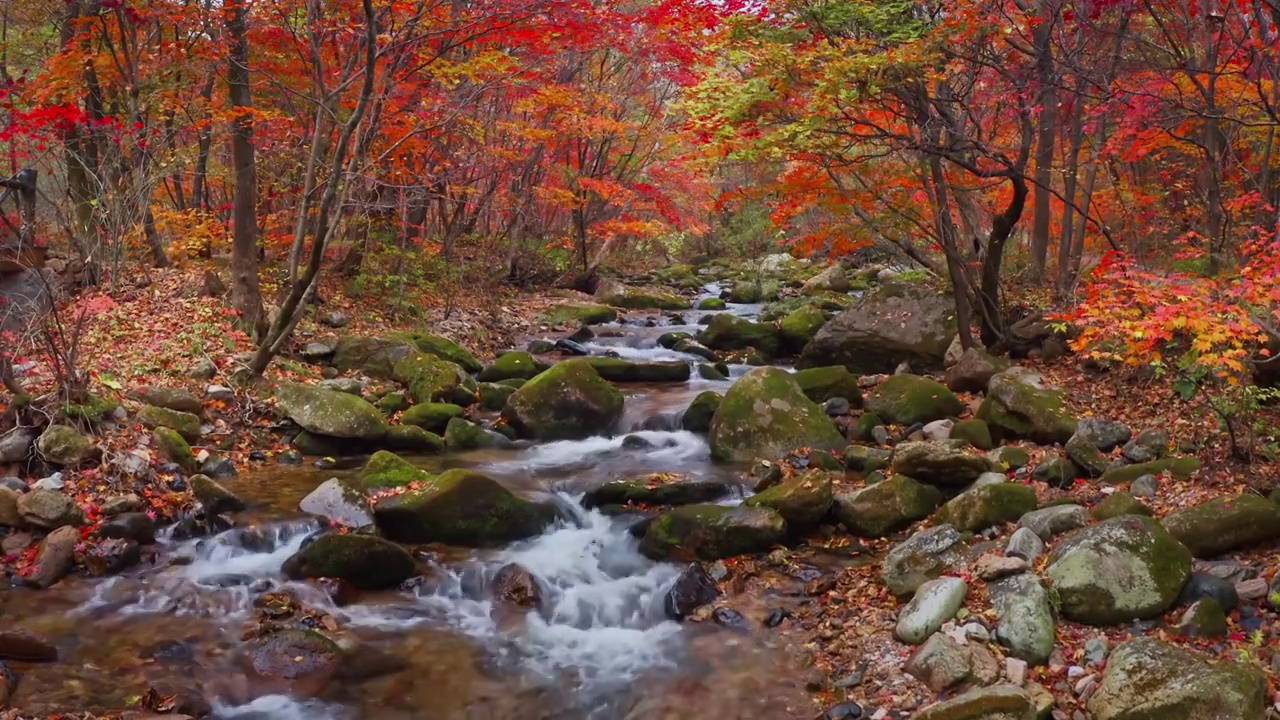 老边沟的秋天，秋天的枫叶与流水，本溪的秋景，东北的秋天视频素材