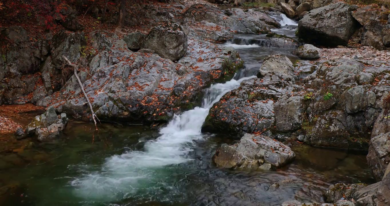 流动的河水，小溪的流水，布满青苔岩石的河流，老边沟景区视频下载