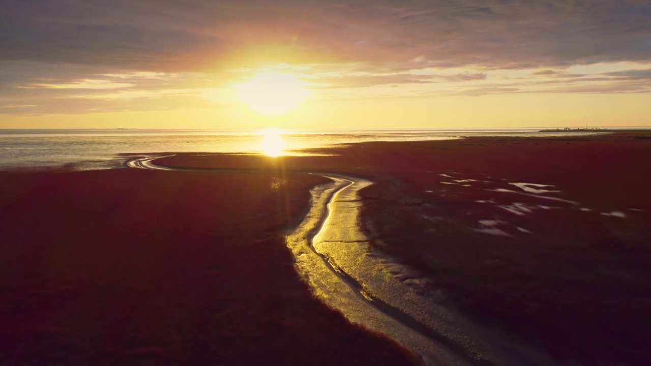 红海滩国家风景廊道，日落时的红海滩，夕阳下的沙滩，红海滩的航拍视角视频下载