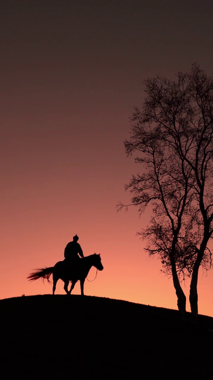 夕阳下骑马的人，人物骑马的剪影，极简的人物，骑马的人视频素材