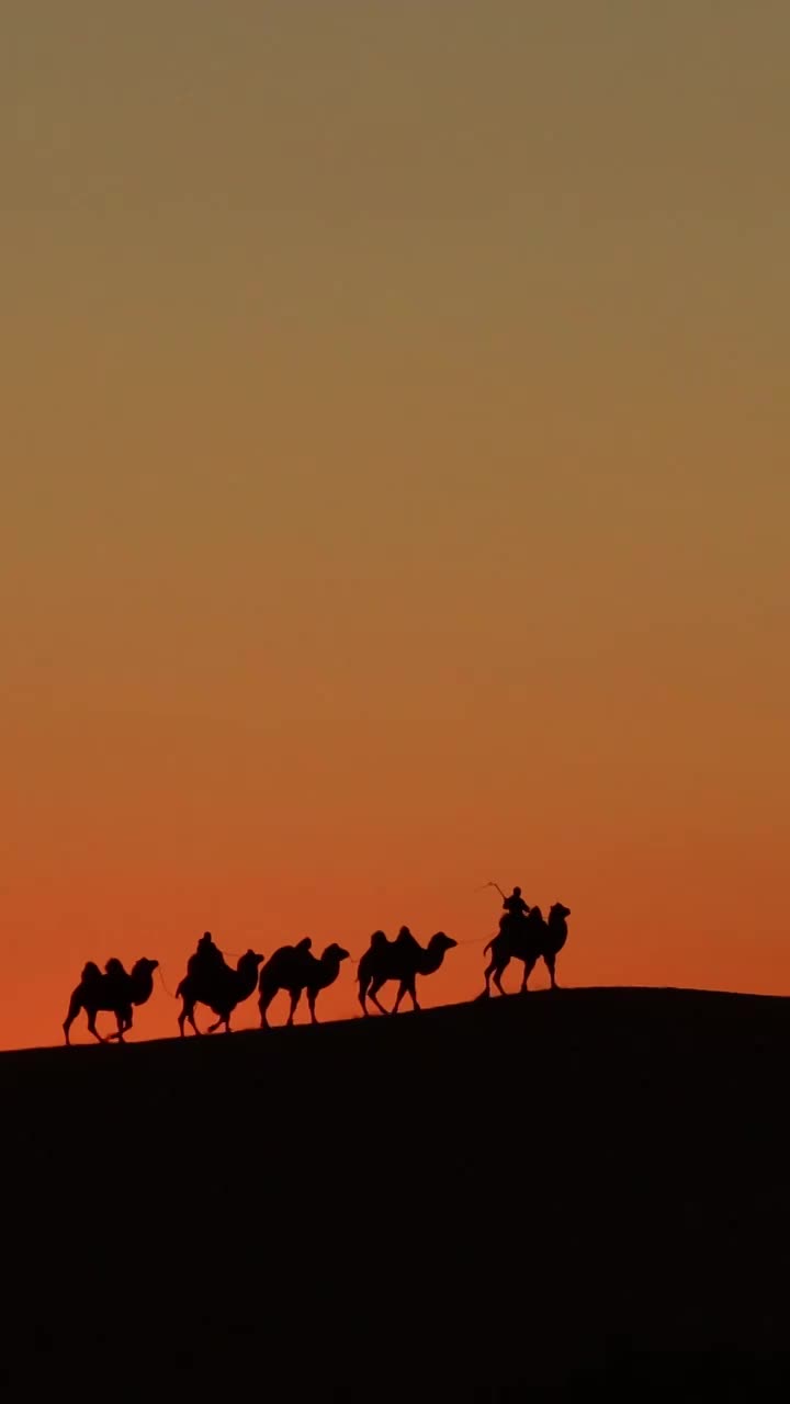 日落沙漠骆驼的剪影，沙漠中的驼队，夕阳下的旅人视频下载