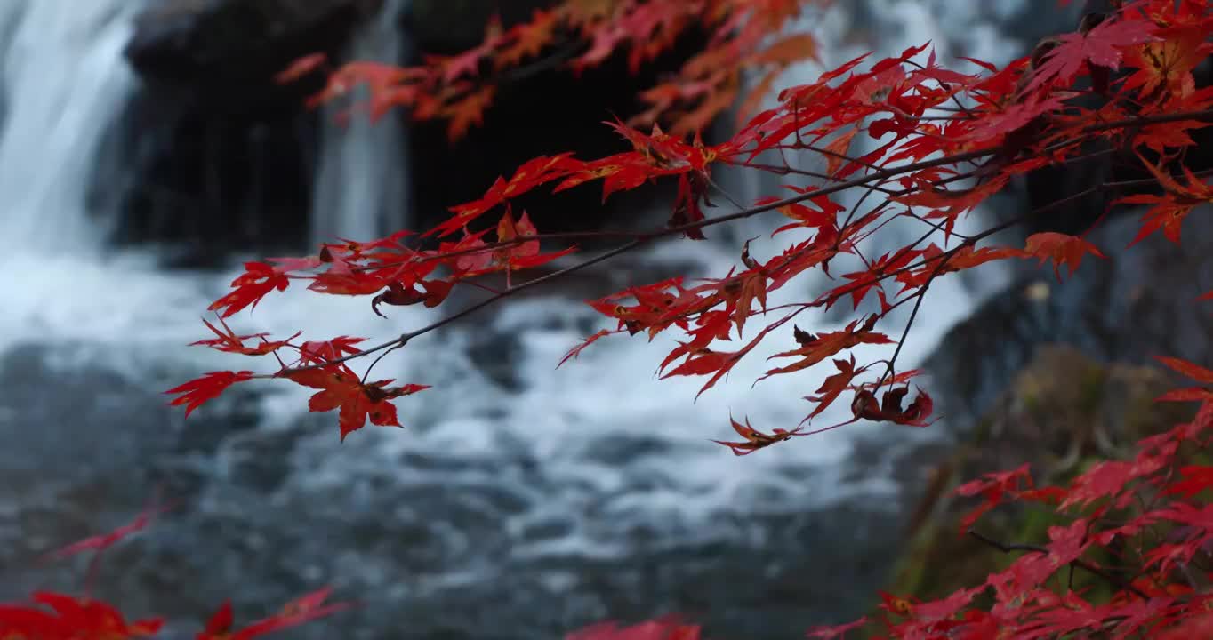 秋天的大石湖，本溪的秋天，东北秋色视频素材