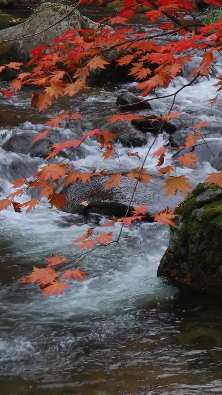 秋天的大石湖，本溪的秋天，东北秋色视频下载