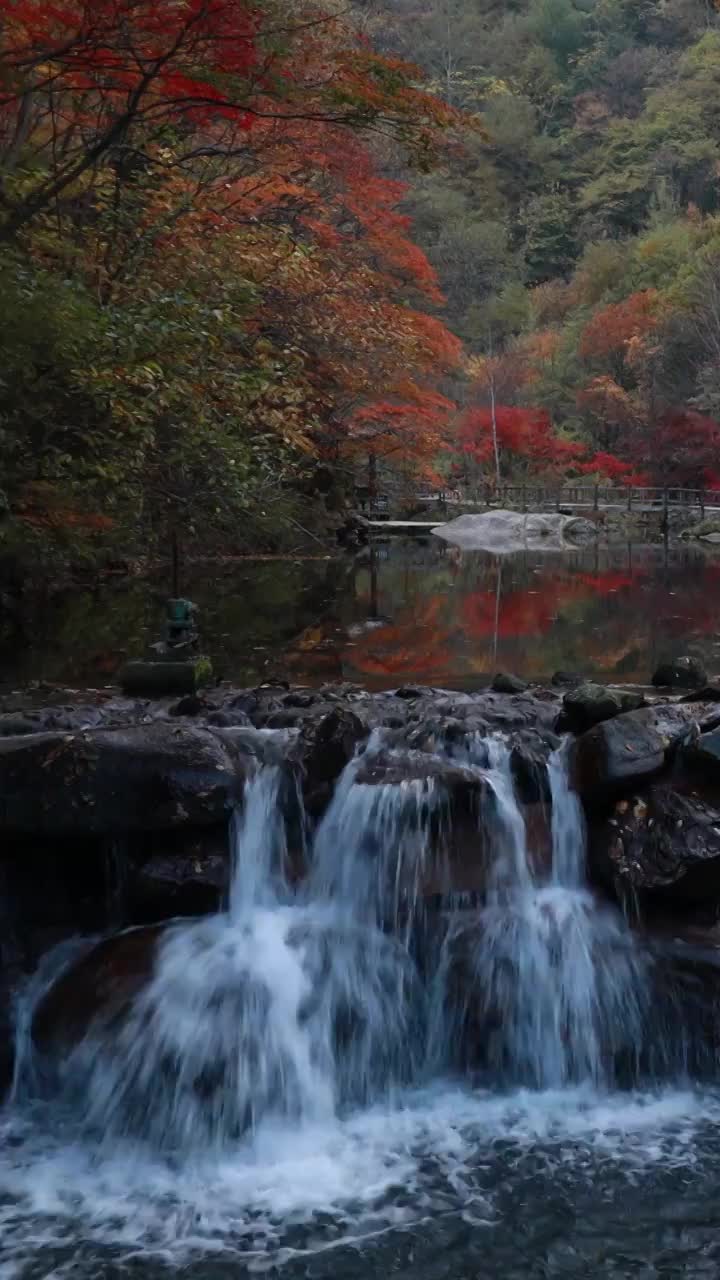 秋天的红叶与河流，大石湖的秋天，本溪秋色，东北的秋景，秋水与秋叶视频素材
