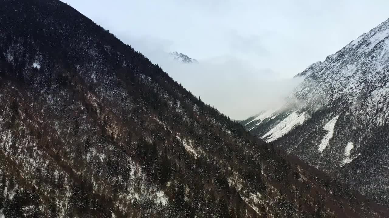 航拍川西云海雪山（甘孜）视频素材