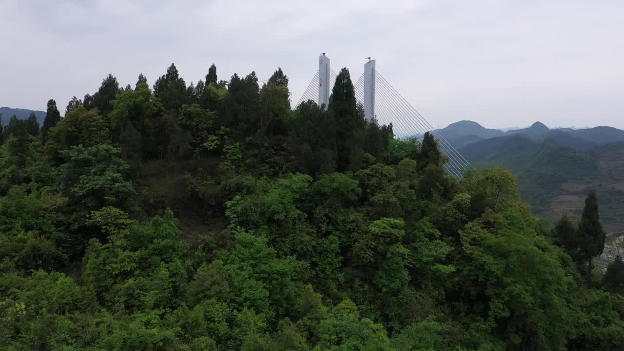 航拍楠木渡大桥视频素材