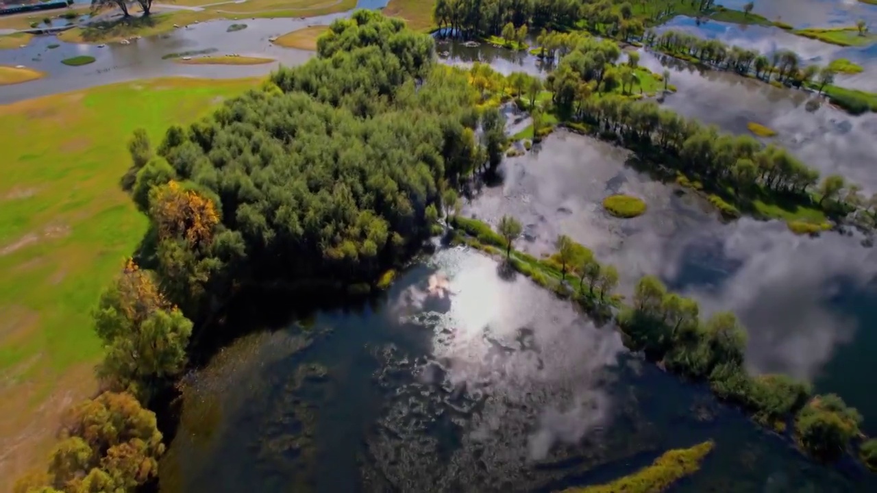 洱海秋天的湿地视频素材