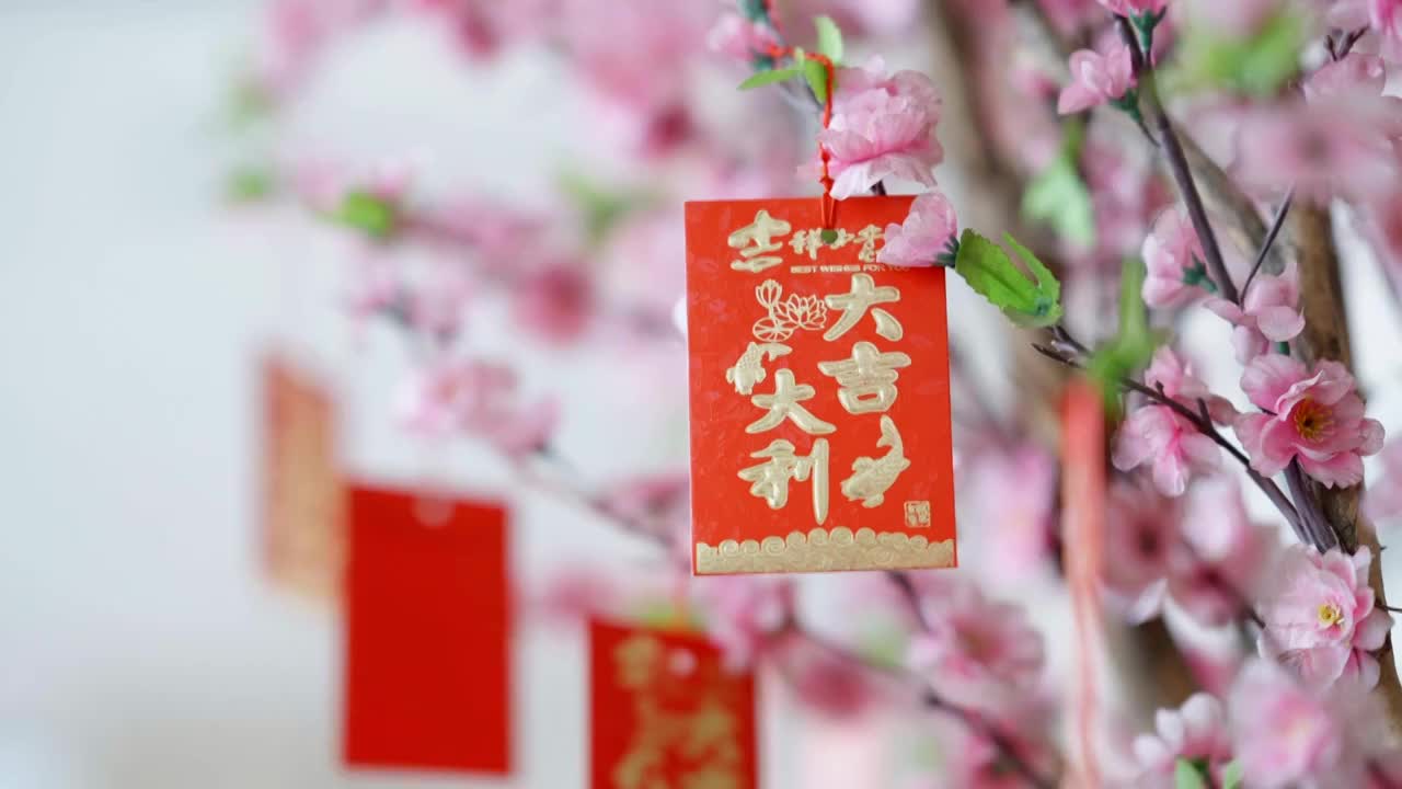 农历春节桃花树上的红包视频素材