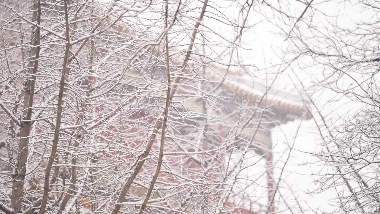 大雪中的故宫视频素材