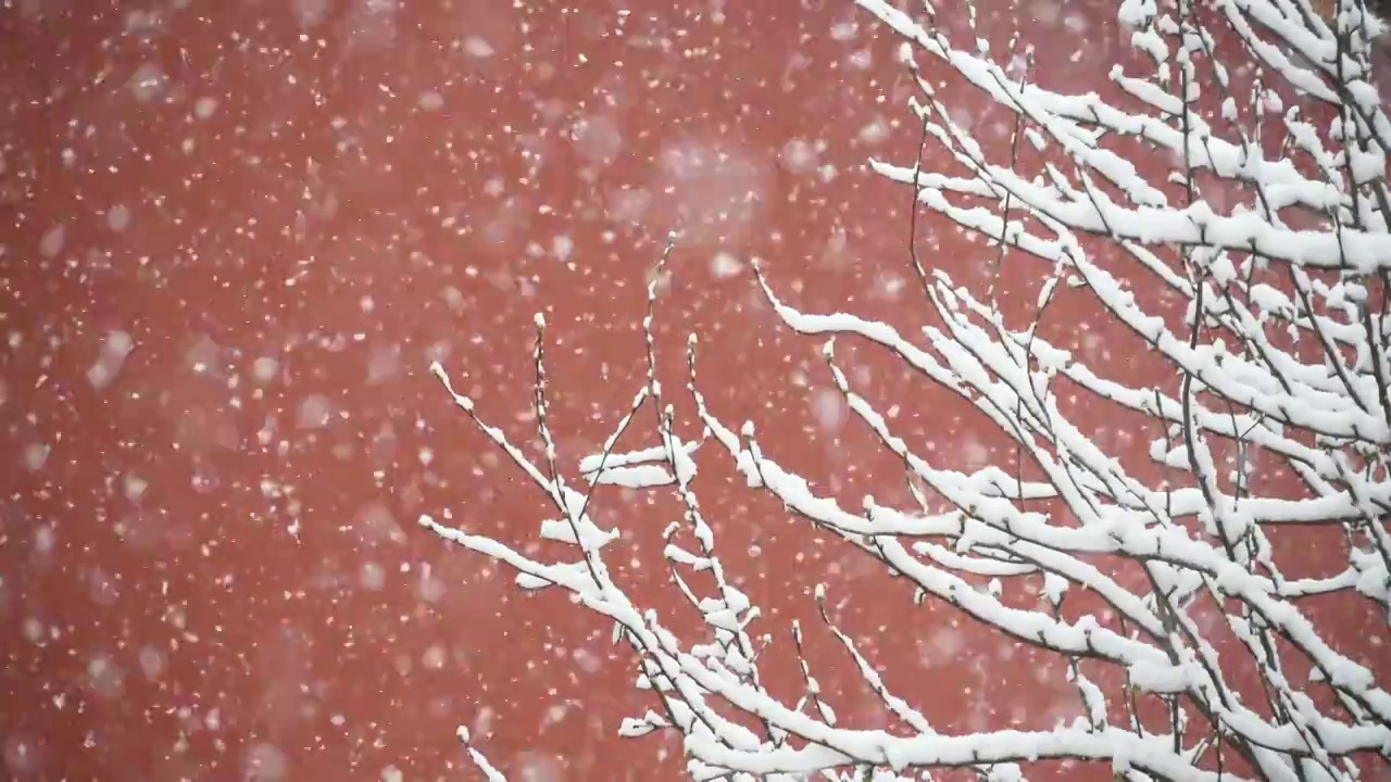 大雪中的故宫视频购买