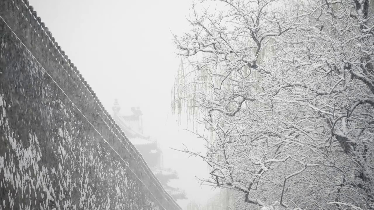 大雪中的故宫视频素材