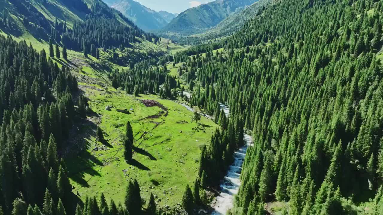 绿色森林河流大自然航拍视频下载