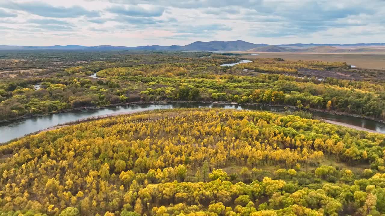 航拍呼伦贝尔根河湿地的秋天视频素材
