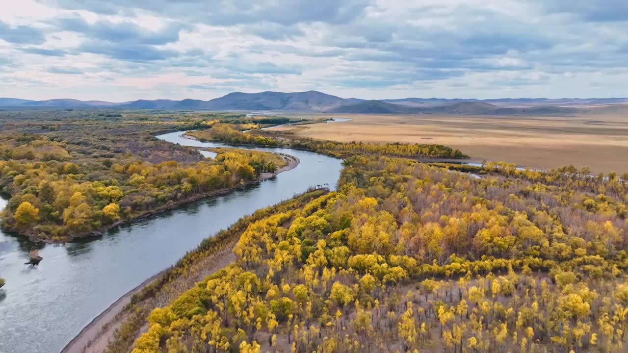 内蒙古亚洲第一湿地的秋天景观视频素材