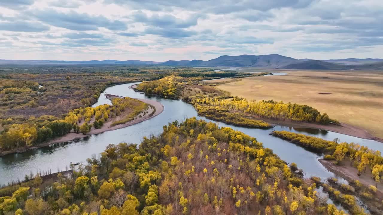 呼伦贝尔根河湿地的秋天景色航拍视频下载