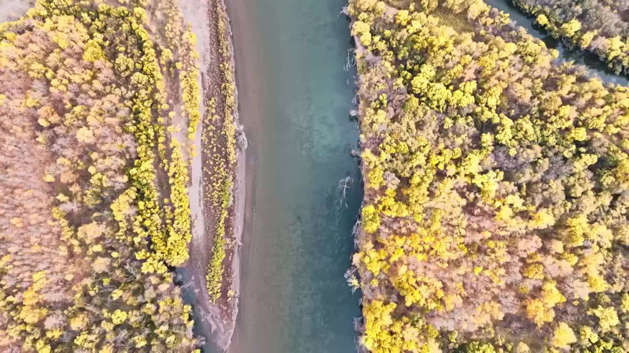 航拍秋天湿地美丽的河流（呼伦贝尔）视频素材