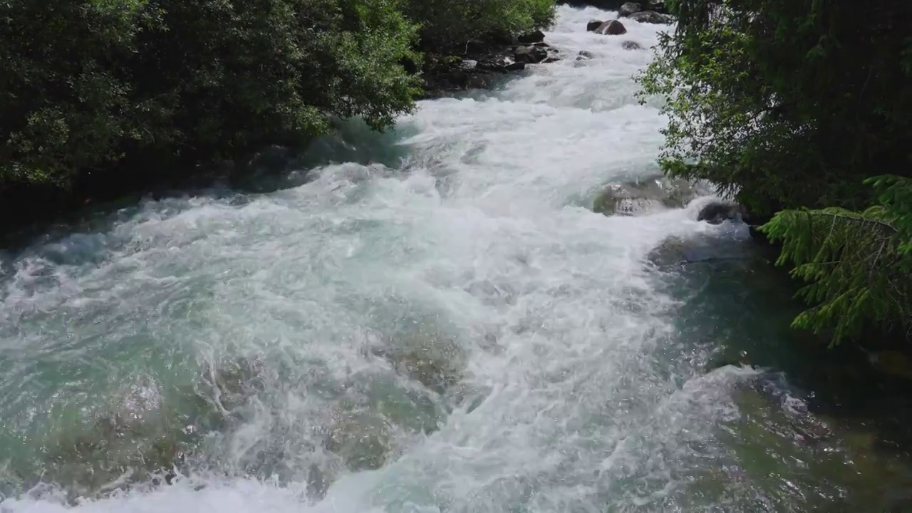 森林河流大自然风景视频素材