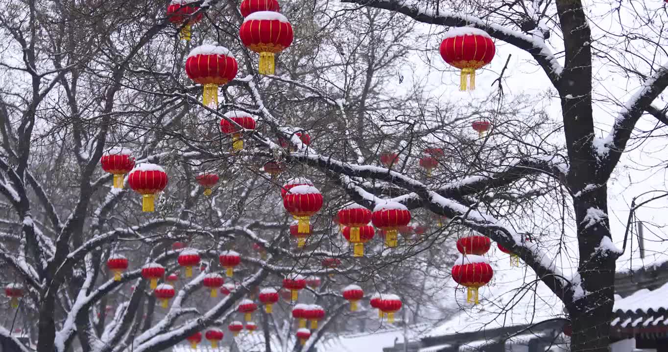 北京雪后树上的红灯笼节日氛围（选编）视频下载