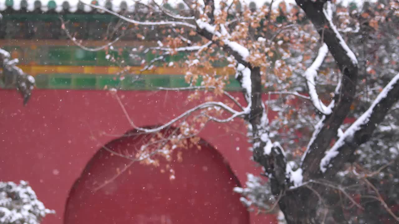 北京冬雪（选编）视频下载