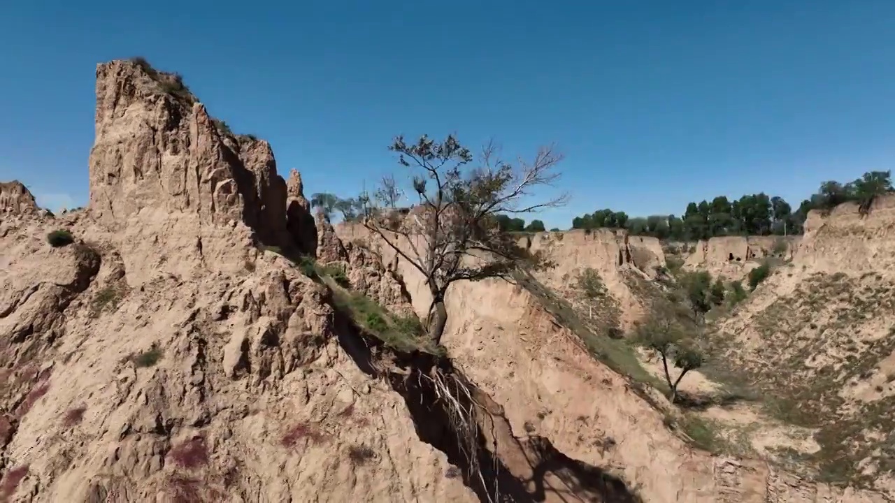 榆林波浪谷景区坚韧又孤独的一棵树航拍视频下载