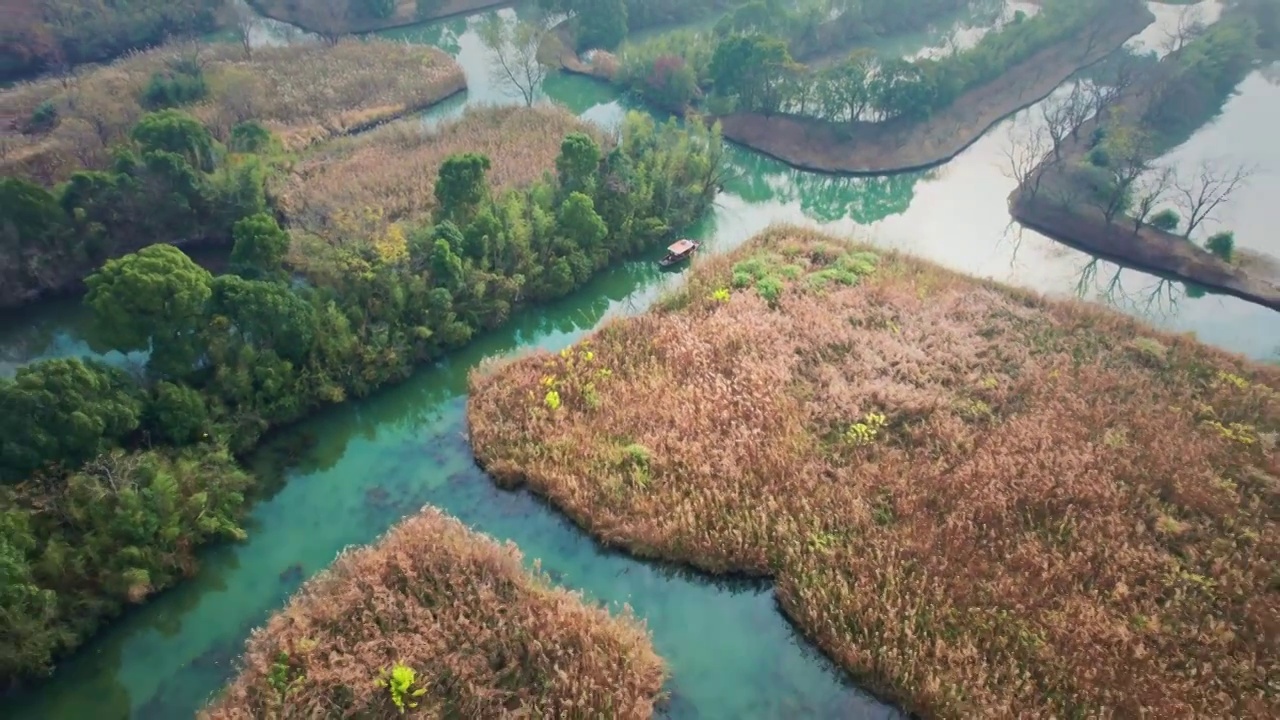 深秋的西溪湿地视频下载