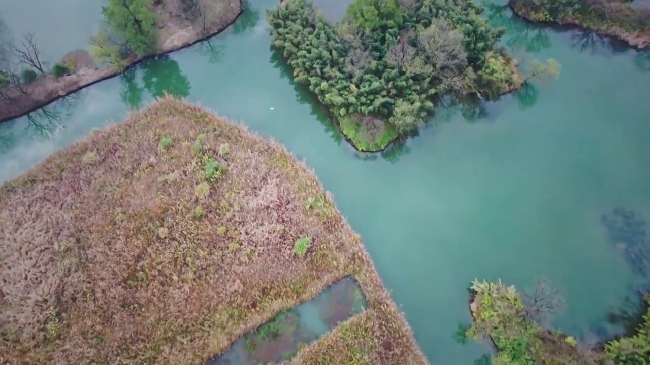 深秋的西溪湿地视频素材