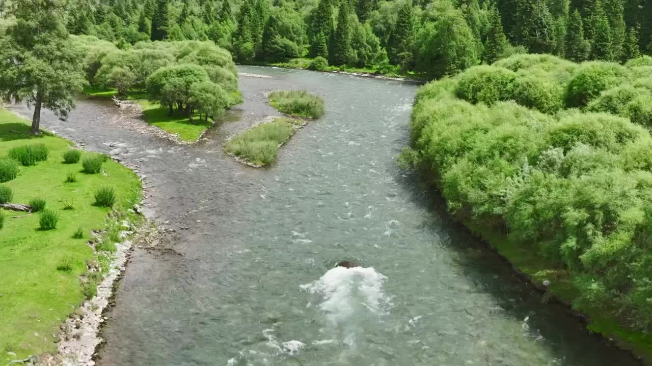 森林河流大自然风景视频素材