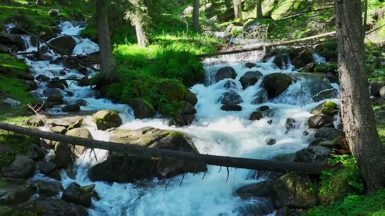 森林河流大自然风景视频下载
