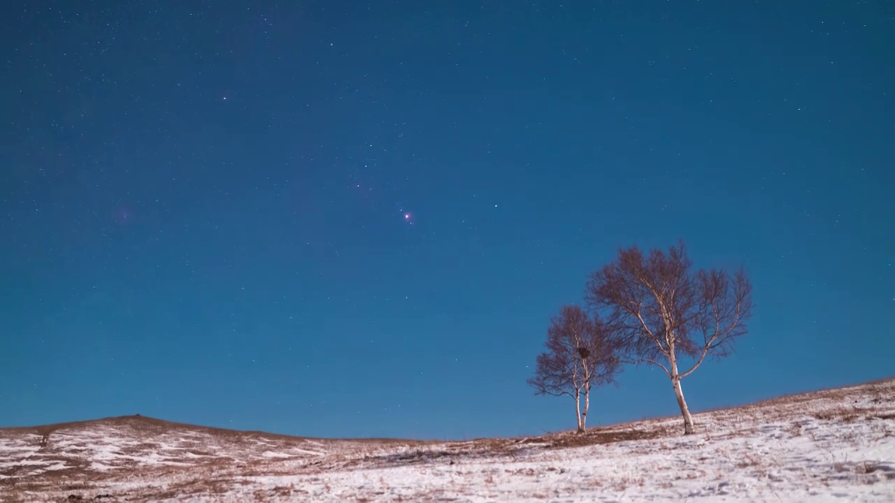 星空延时：月光下的双子座流星雨视频素材