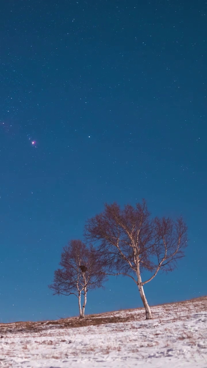 星空延时：月光下的双子座流星雨视频素材